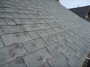 Hail Damage Repair CLS Roofing Ottawa