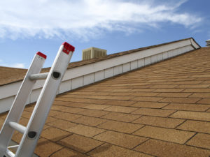 CLS Roofing Ottawa